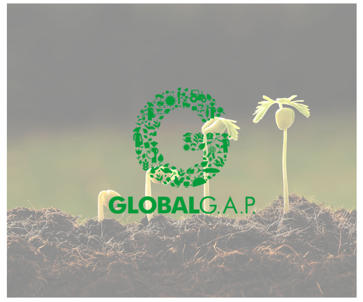 Logo certificación SMETA